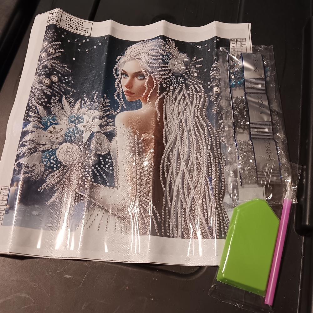 Diamond Painting Kit with Elegant Woman Design 30x30